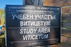 Балчик - Университетска ботаническа градина - гроздобер