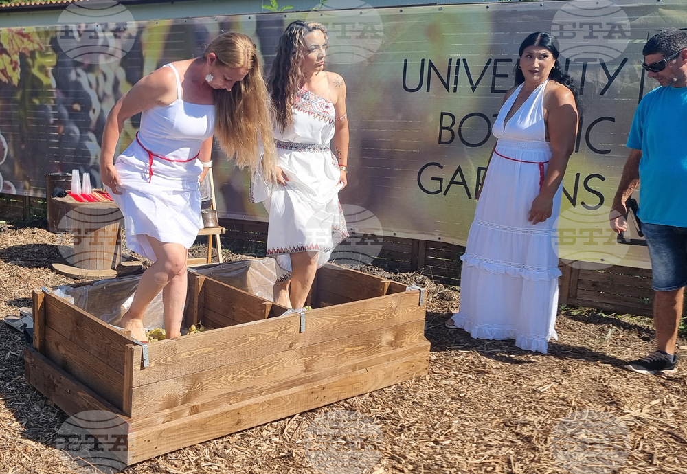 Балчик - Университетска ботаническа градина - гроздобер