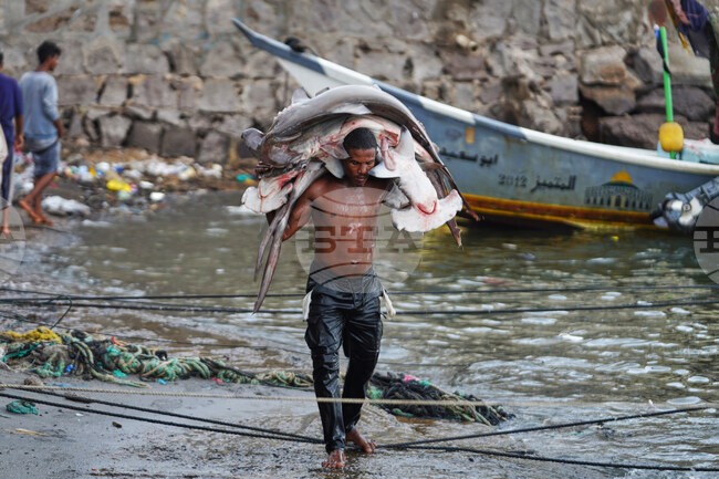 Mideast Wars Yemen