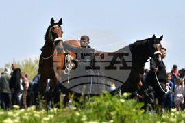 Село Севар - конни надбягвания