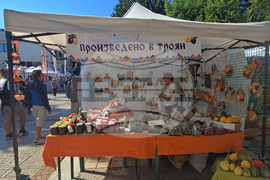 Троян - Български фестивал на сливата
