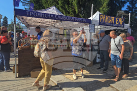 Троян - Български фестивал на сливата