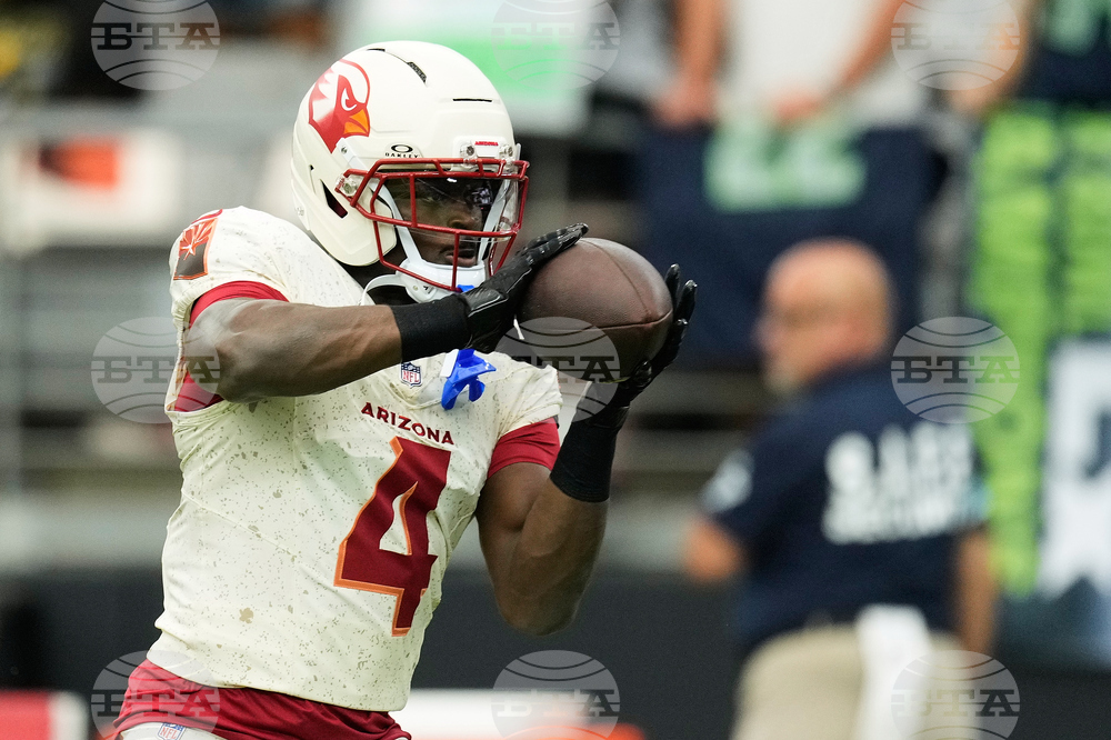 Seahawks Cardinals Football