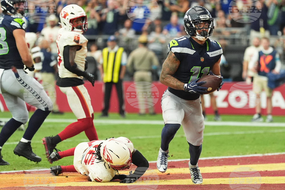 Seahawks Cardinals Football
