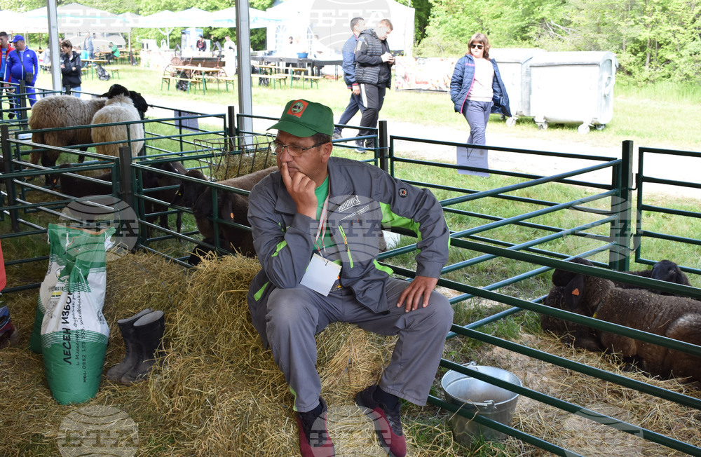 Лясковец - Национален събор на овцевъдите