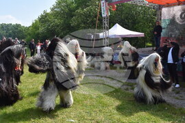 Лясковец - Национален събор на овцевъдите