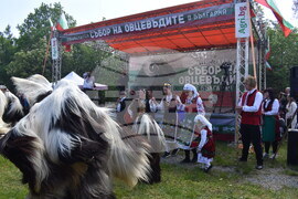 Лясковец - Национален събор на овцевъдите