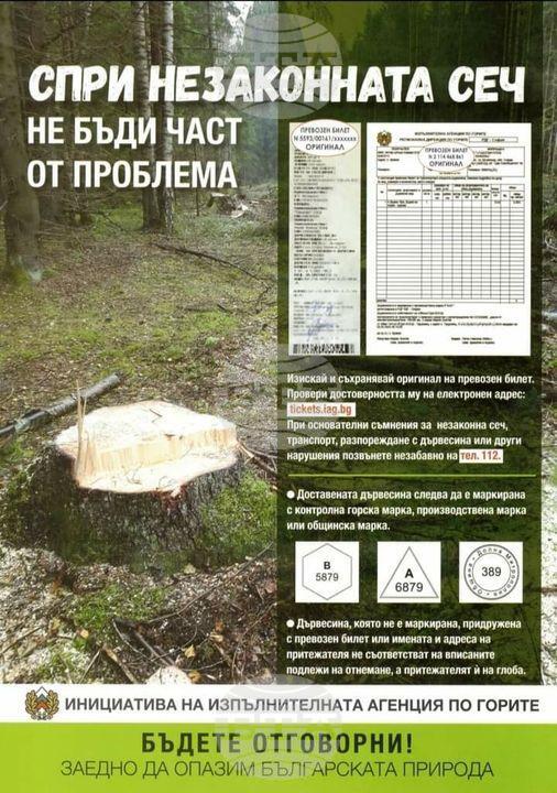 Директорът на Регионалната дирекция по горите в Ловеч апелира купувачите на дърва за огрев да проверяват законността на дървесината
