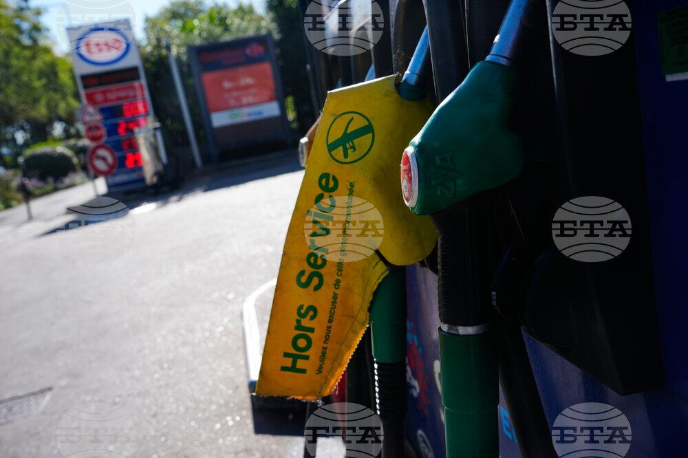 France Gas Price