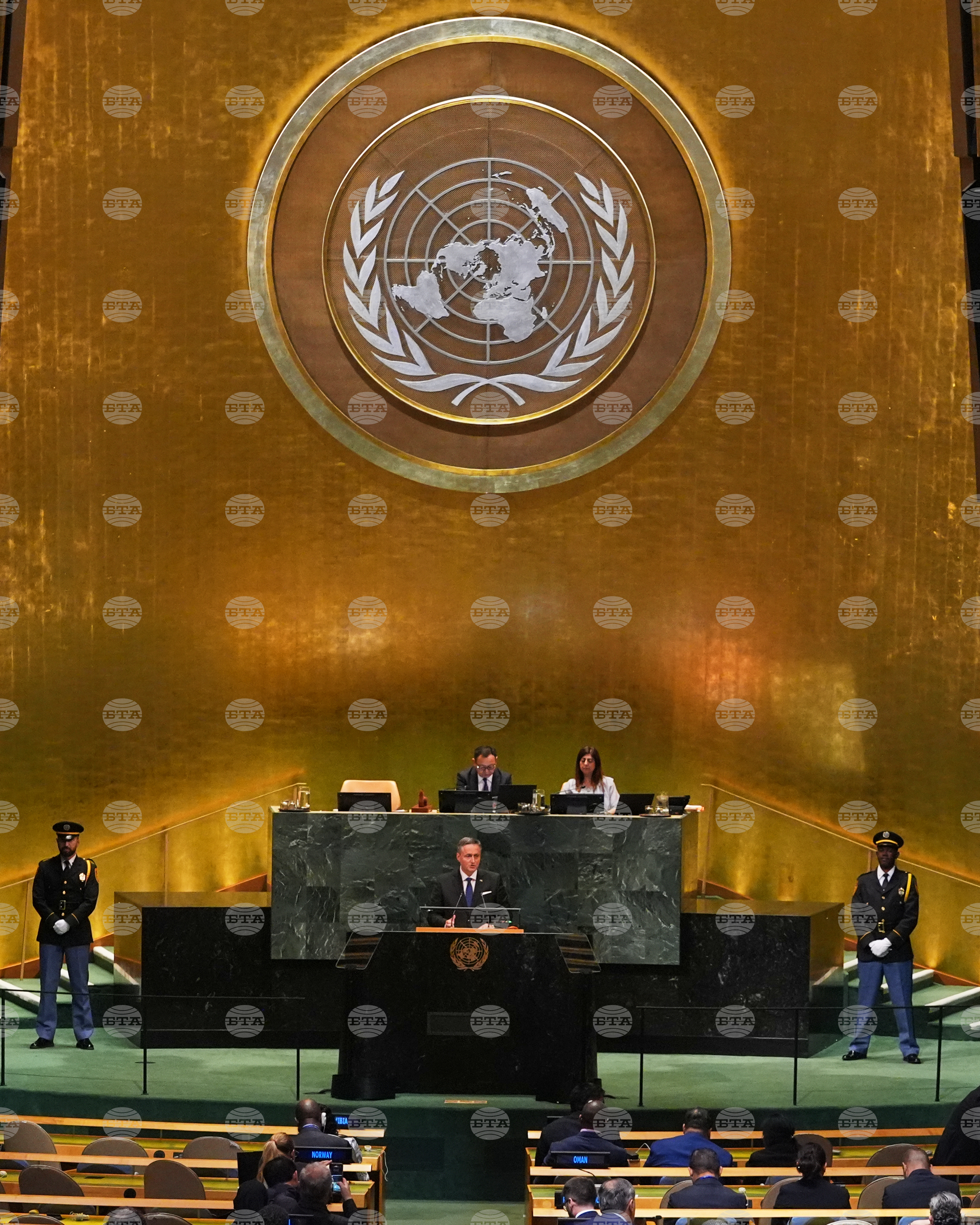 UN General Assembly Bosnia and Herzegovina