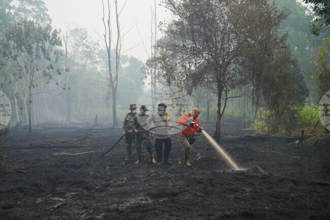 Climate Heat Deaths El Nino