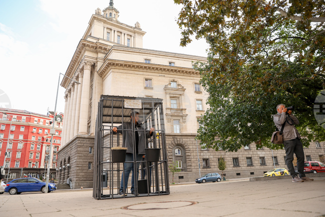Протестна акция „Седмици в клетка“ - организация „Невидими животни“