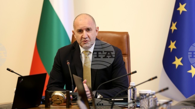 Government Proposes Criminalizing Customs Violations, Making Smuggling a Serious Crime