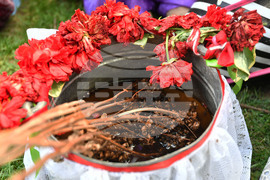 Село Севар - пролетен празник на алиани - Хъдрелез