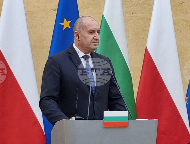 PM Radev Sees Poland's Help as Only Way to Keep Bulgaria's MiG-29 Fighters Operational