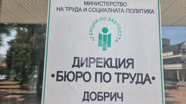 Общо 31 позиции за специалисти с висше образование са обявени в бюрата по труда в област Добрич, сред тях за лекари и учители