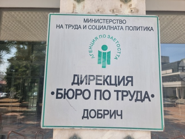 Общо 31 позиции за специалисти с висше образование са обявени в бюрата по труда в област Добрич, сред тях за лекари и учители