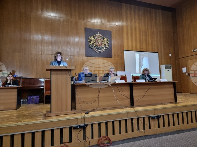 Подписване на договор за побратимяване между Велико Търново и египетския град Мансура, бе одобрено от Великотърновския общински съвет