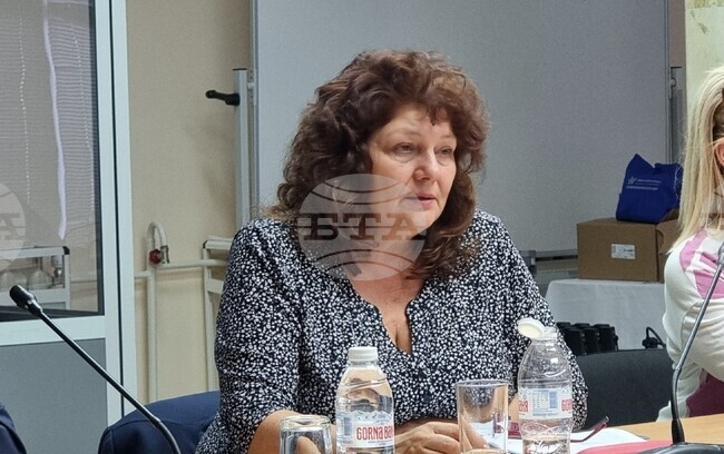 Kozloduy Nuclear Plant's Unit 6 Yet to Work with Westinghouse Fuel as Licensing Process Continues