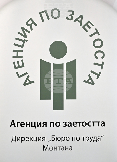 В Бюрото по труда в Монтана са обявени 20 свободни работни места за висококвалифицирани специалисти с висше образование