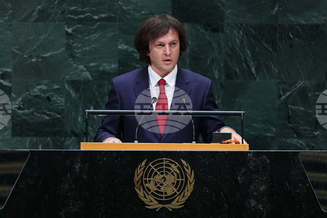 UN General Assembly Georgia