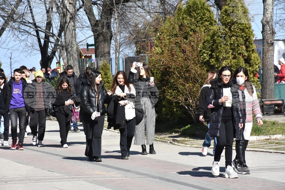 Белоградчик - проект