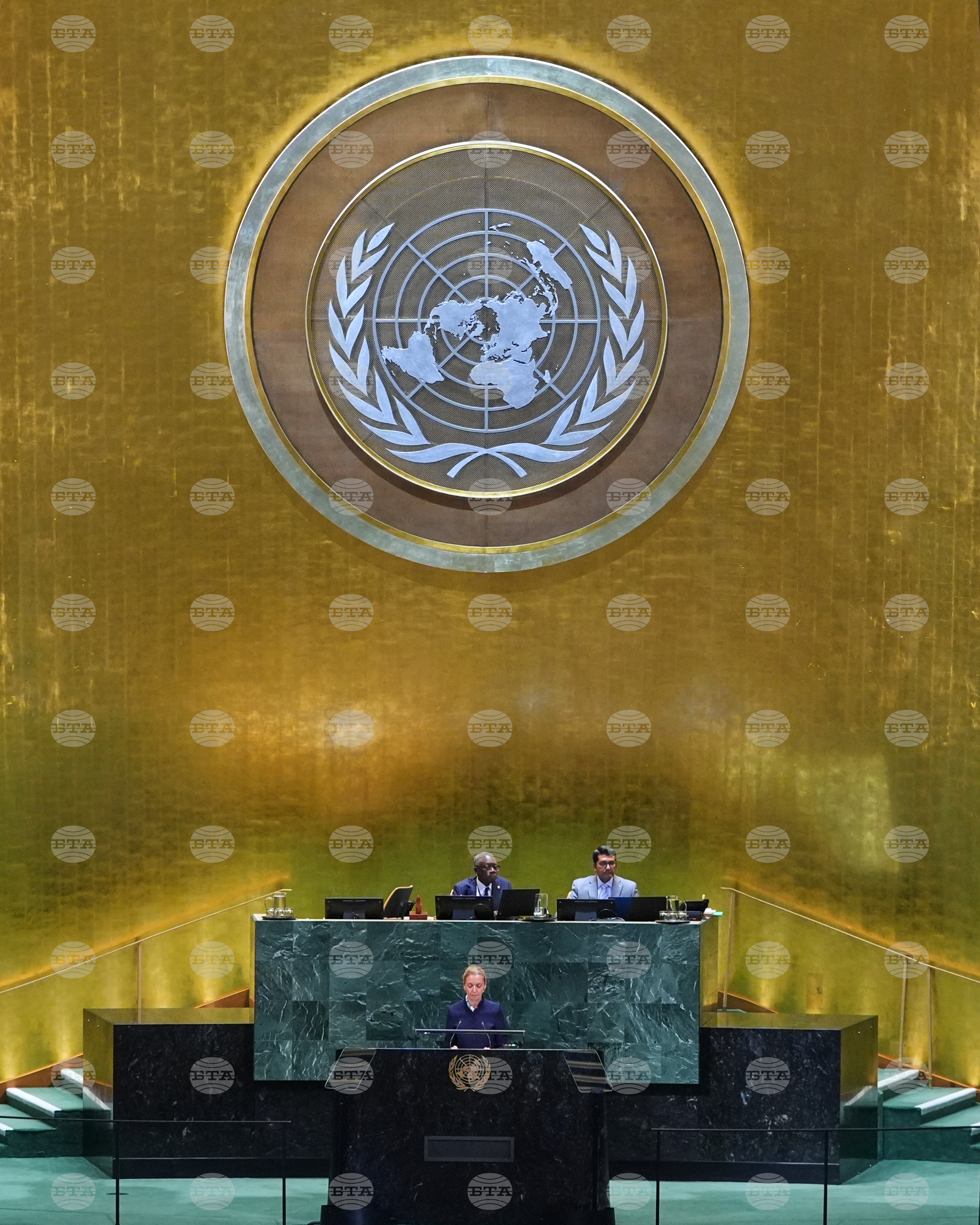 UN General Assembly Liechtenstein