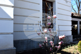 Видин - пролет