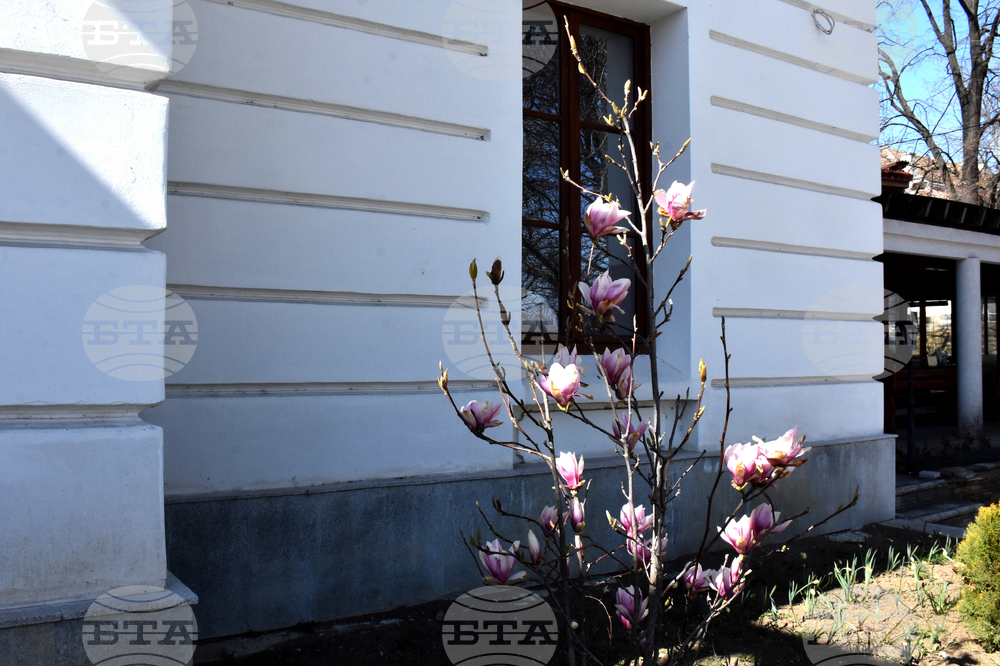 Видин - пролет