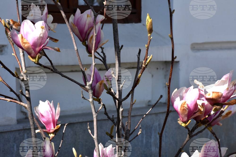 Видин - пролет