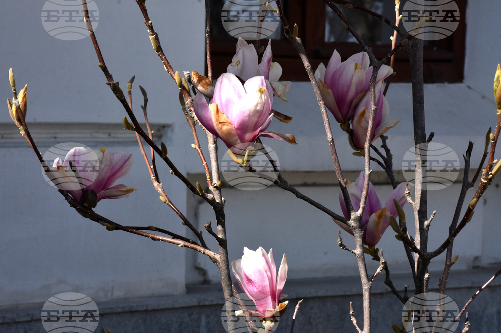 Видин - пролет