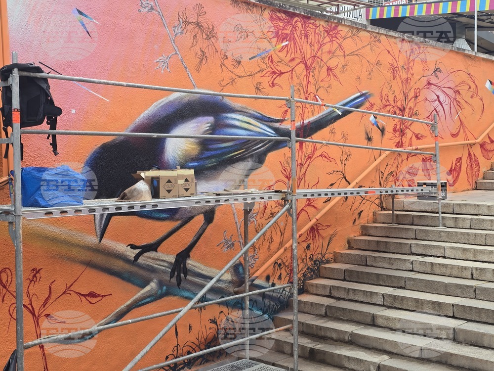 Sofia Urban Art - фестивал
