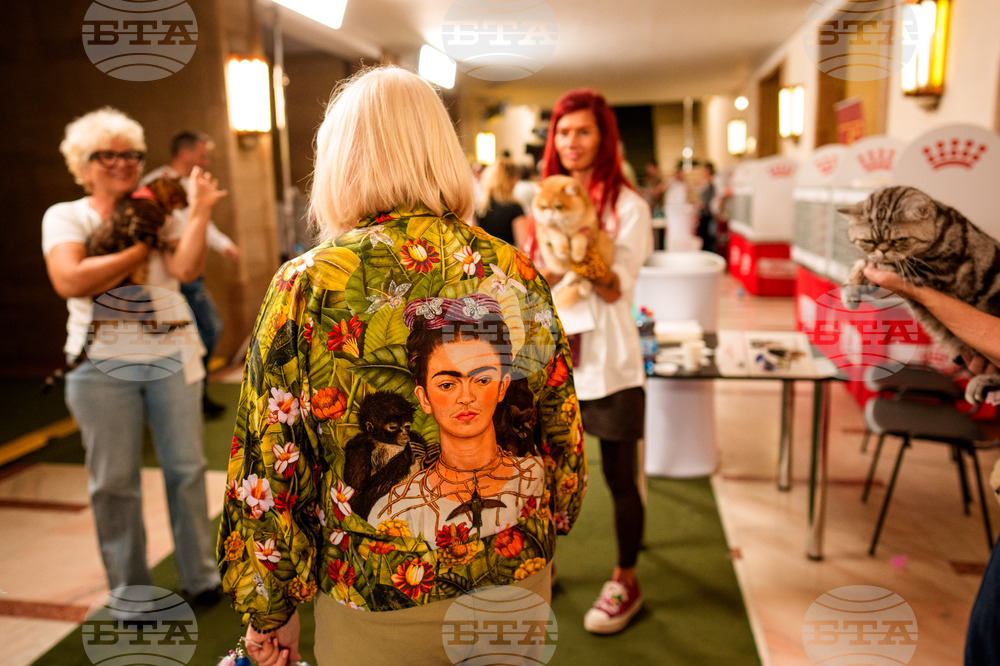 Romania International Cat Show