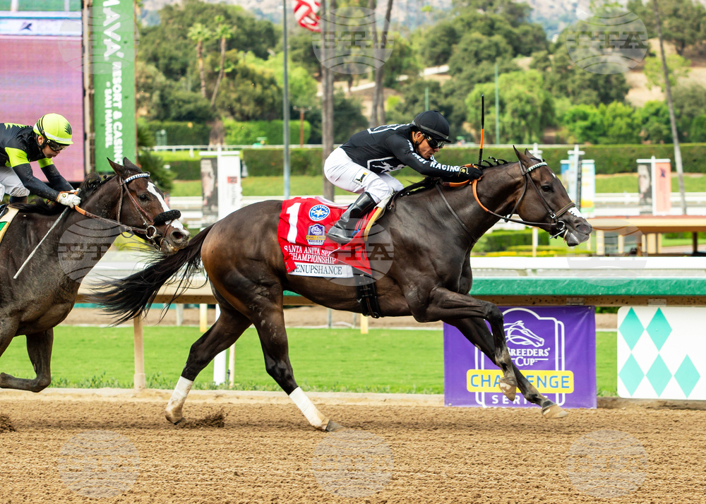 Santa Anita Horse Racing