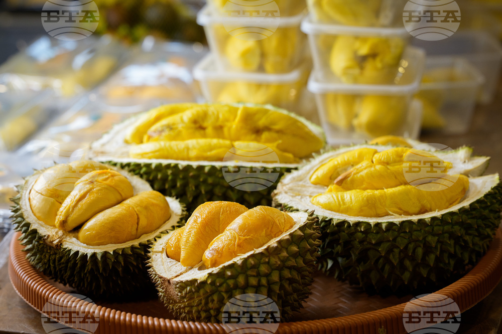 Malaysia Durian