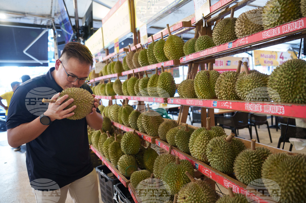 Malaysia Durian