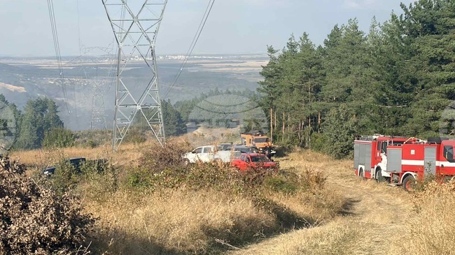 Пожарът край село Зорница е възникнал вероятно след авария по електропровод на EVN, съобщиха от Областна администрация – Хасково