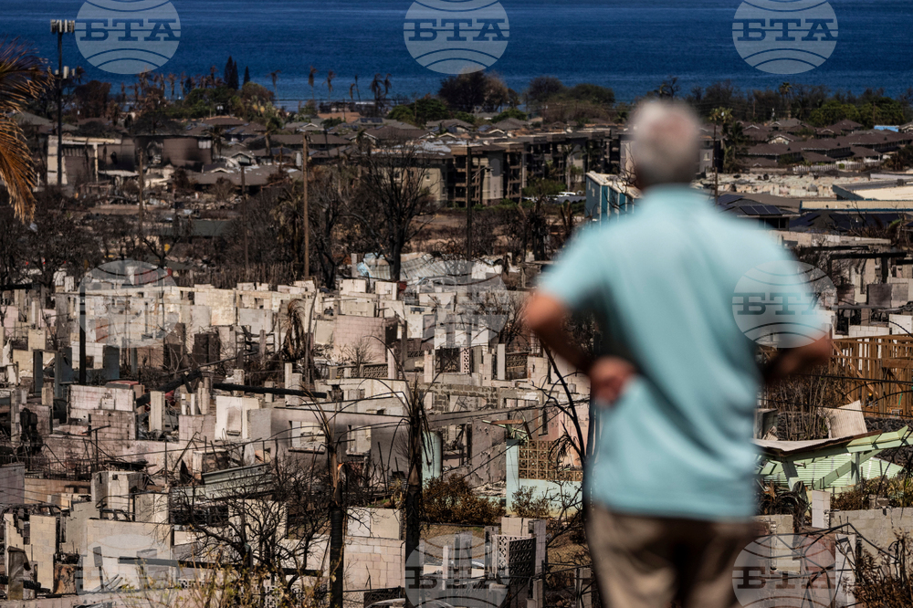 Hawaii Fires Things To Know