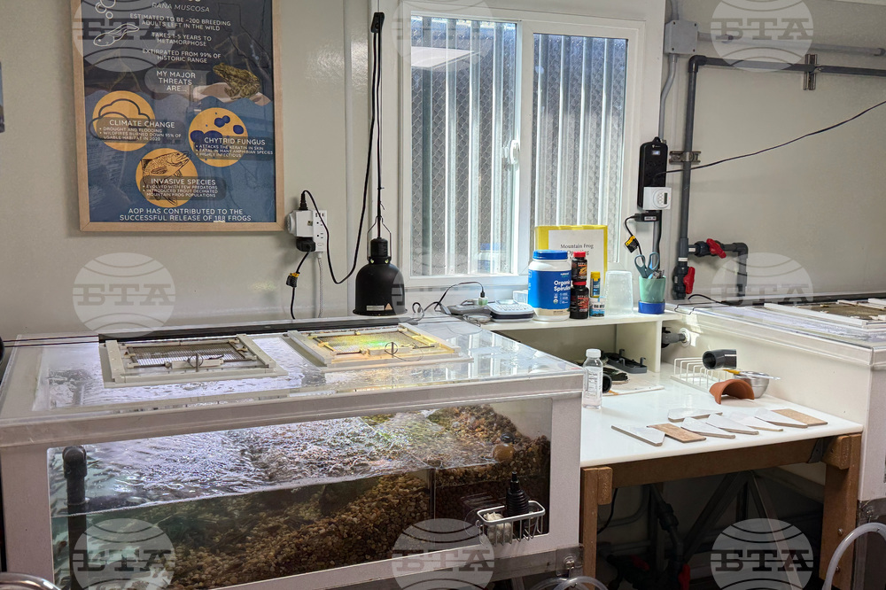 Endangered Frog Nursery
