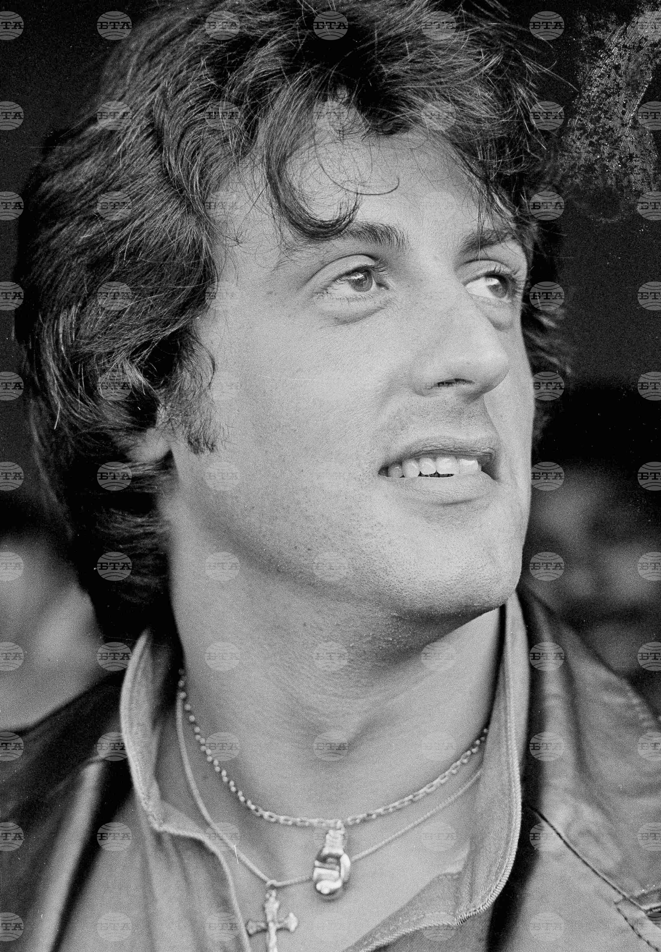 Books - Sylvester Stallone