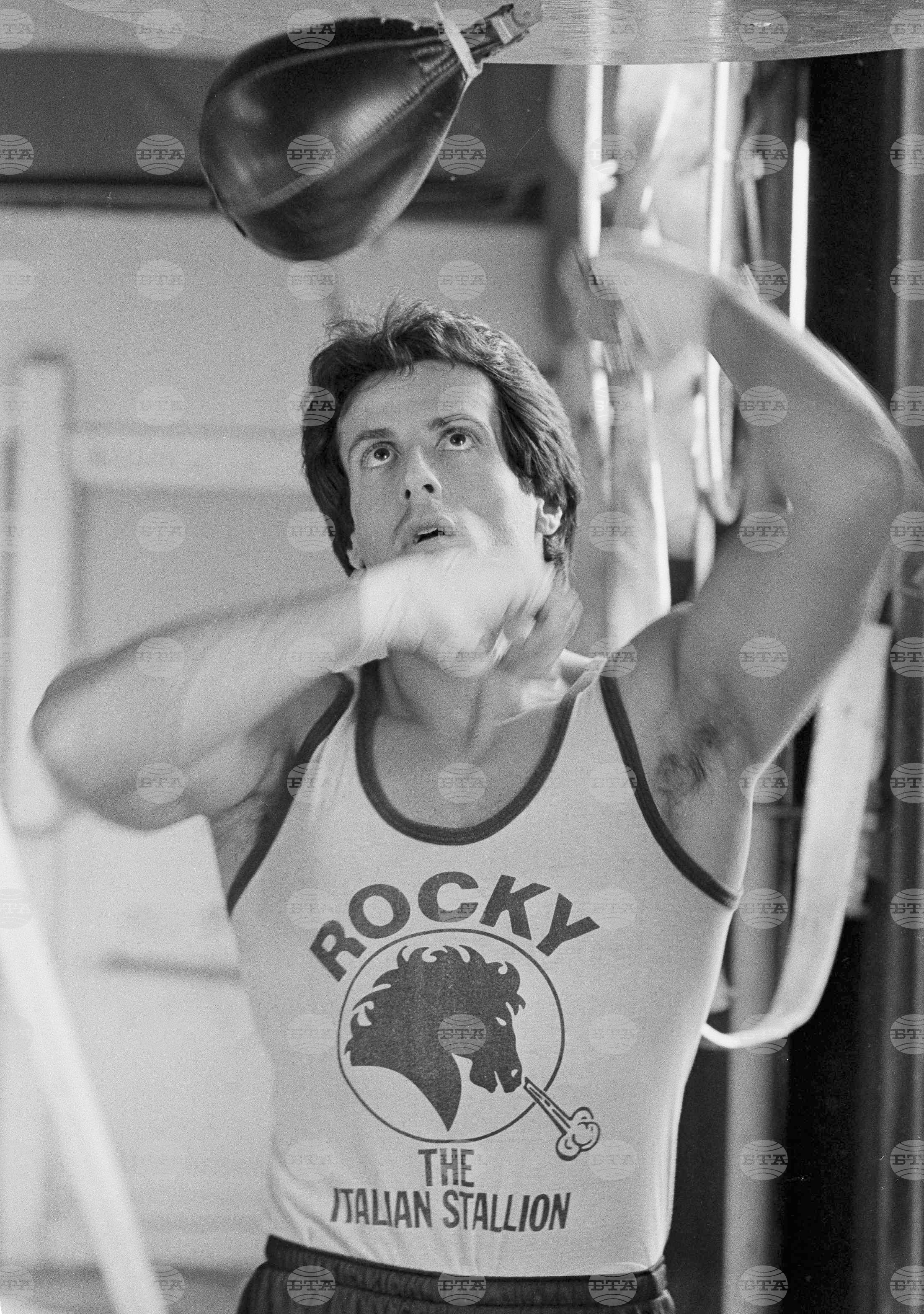 Books - Sylvester Stallone