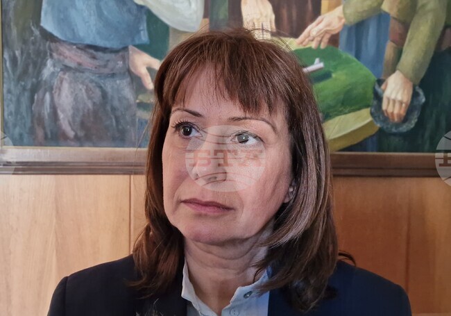 Помощите за отопление да се изплащат наведнъж на всички правоимащи, призова омбудсманът Велислава Делчева в Павликени