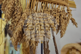 Русе - „Тайни колекции, споделени наследства" - изложба