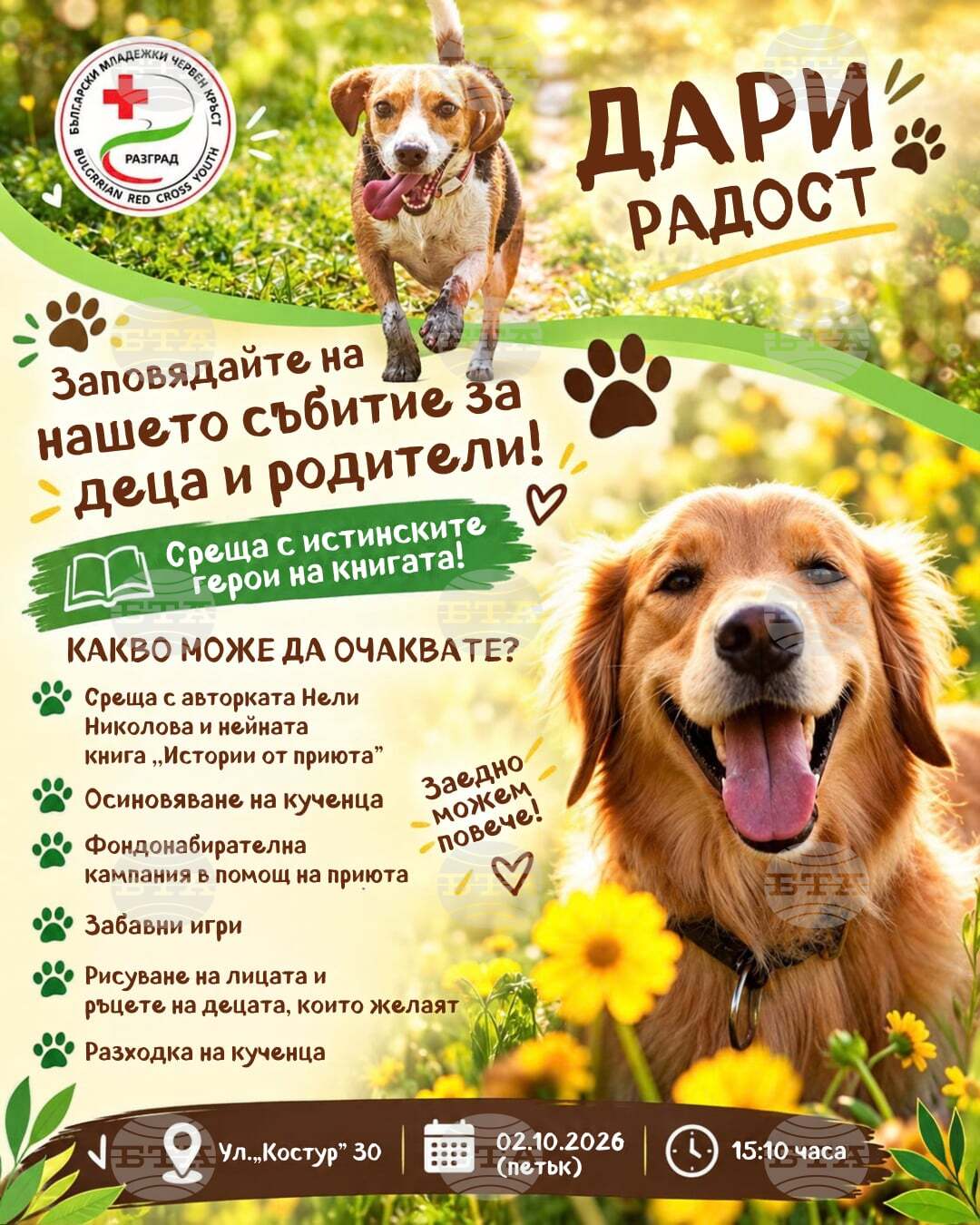 Доброволци от БМЧК в Разград организират среща с кучетата от приюта по повод Световния ден за защита на животните