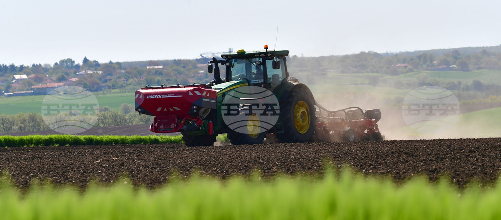 Село Яким Груево - работа на полето