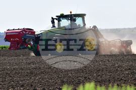 Село Яким Груево - работа на полето