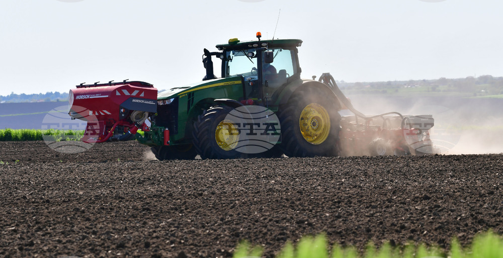Село Яким Груево - работа на полето
