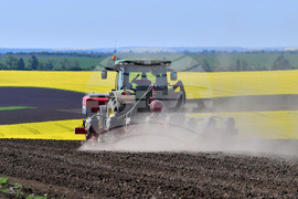 Село Яким Груево - работа на полето