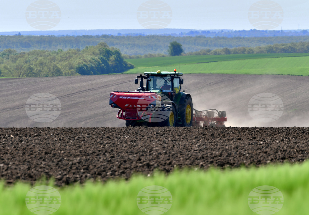 Село Яким Груево - работа на полето