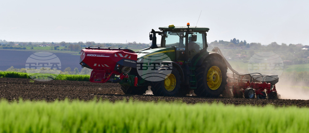 Село Яким Груево - работа на полето